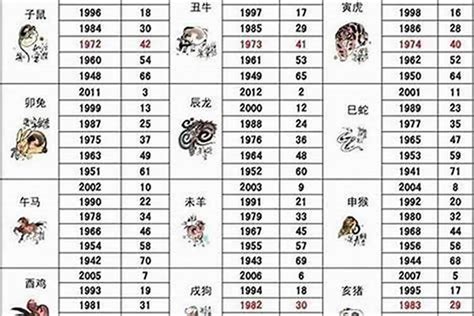 1956年生肖|1956年属什么生肖